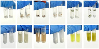 Гомогенизатор подходит для твердых тканей