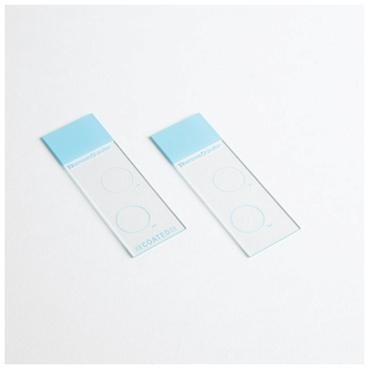 Стекло предметное Cytoslide, без покрытия, 100 шт/уп