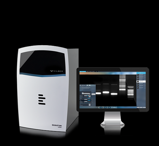 Гельдокументирующая система QUANTUM-CX5 Edge - PadBox, 5 Мп, моторизованный зум, без Pad-трансиллюминатора, фильтр 590 нм