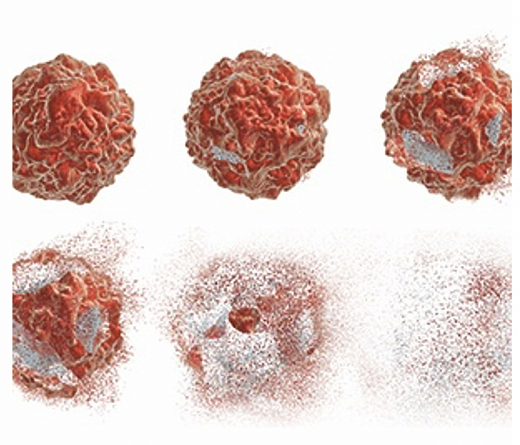 Набор для экстракции бактериального белка, НЭББ, diaGene Фото 1