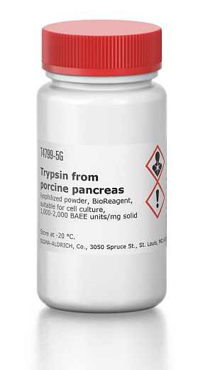 Трипсин/Trypsin from porcine pancreas, 1,000-2,000 ед/мг, Sigma-Aldrich, 5 г