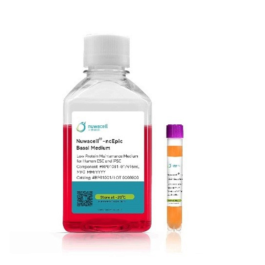 Среда для поддержания и пролиферации эмбриональных стволовых клеток и индуцированных плюрипотентных стволовых клеток (иПСК) человека ncEpic hPSC Medium