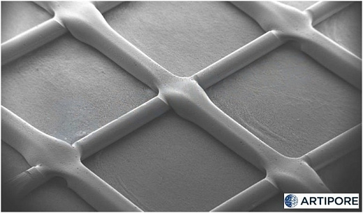 Диски для 3D культивирования полученные методом электроформования, выровненные нановолокна, материал нанесен линейно, толщина подложки 18 мкм, 24 луночный планшет