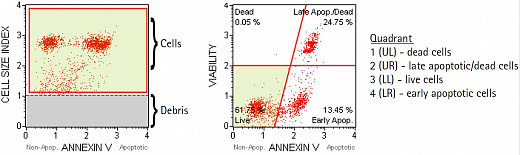 Набор для анализа апоптоза (аннексин V) Muse Annexin V & Dead Cell Kit, 100 тестов Фото 2