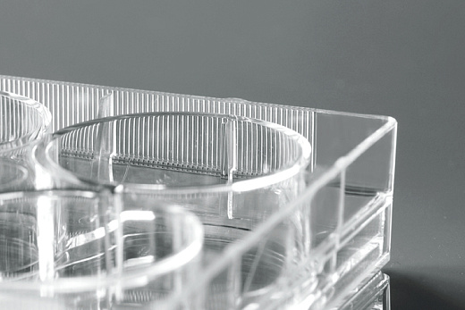 Бортик и наполнение культурального планшета Nest, Китай