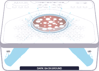 Непрямое освещение Dark Field 2