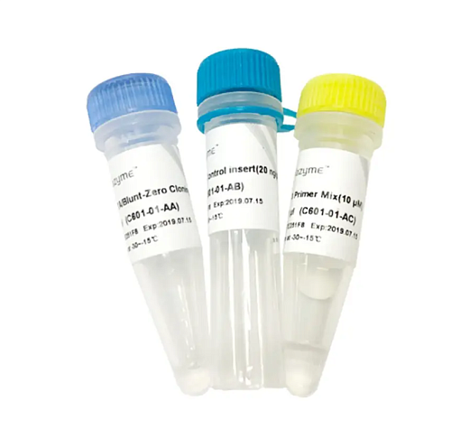 Набор для клонирования 5min TA/Blunt-Zero, Vazyme, Китай