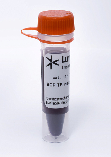 Краситель для митохондрий и других органелл BDP TR метиловый эфир, Lumiprobe