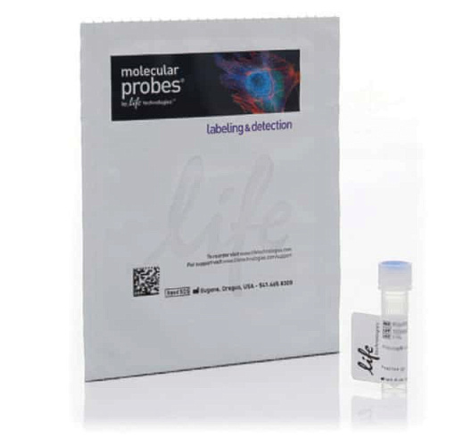 Краситель Alexa Fluor 488 Phalloidin, Thermo FS