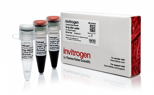 Маркер длин ДНК, 50 bp, 17 фрагментов от 50 до 2500 п.н., 0,5 мкг/мл Фото 2