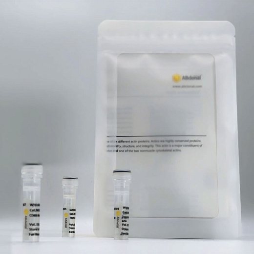 Антитела Anti-Mouse IgG (H+L) козьи, поликлональные, конъюгированные с HRP