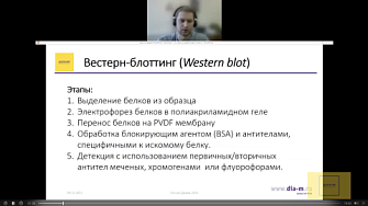 Доклад 09.12.21. Блоттинг – это просто!